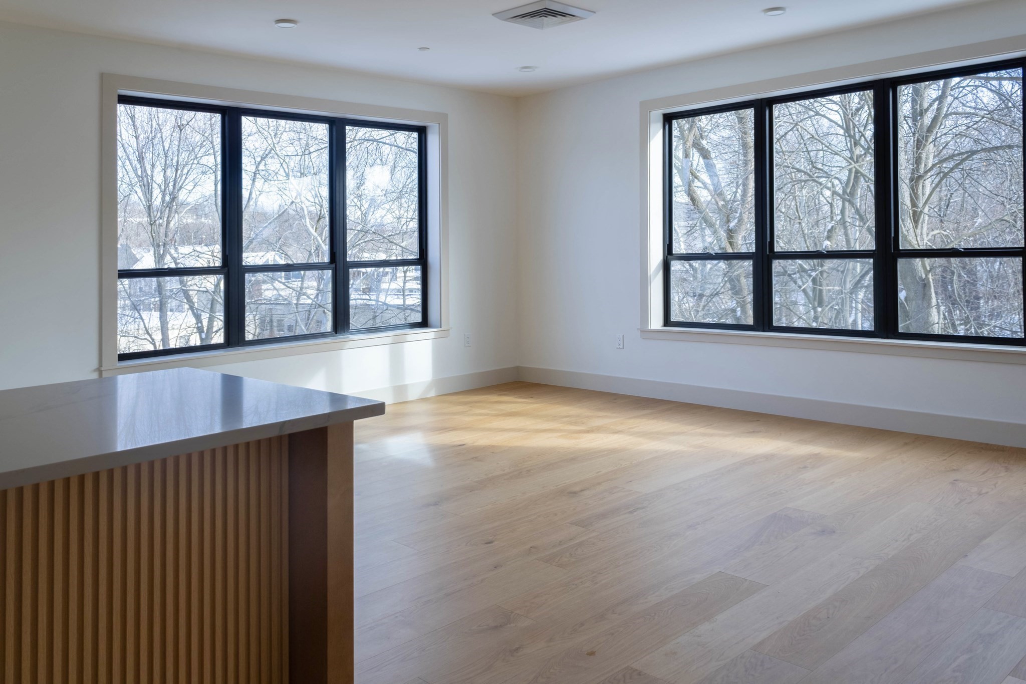1025 Massachusetts Avenue Unit 213, Arlington, MA 02476 - Image 4