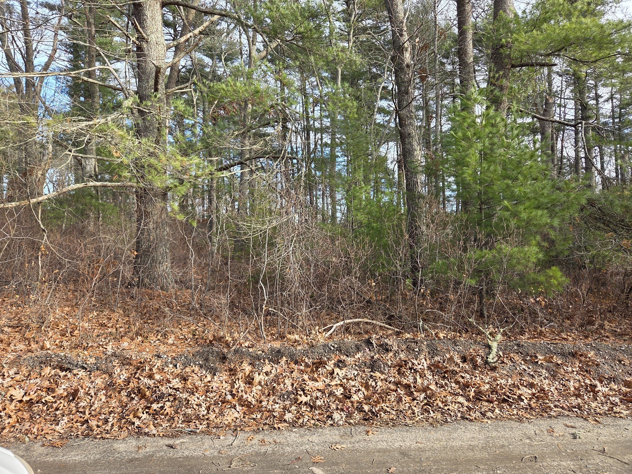 9 Oliver Neck Road, Wareham, MA 02571 - Image 5