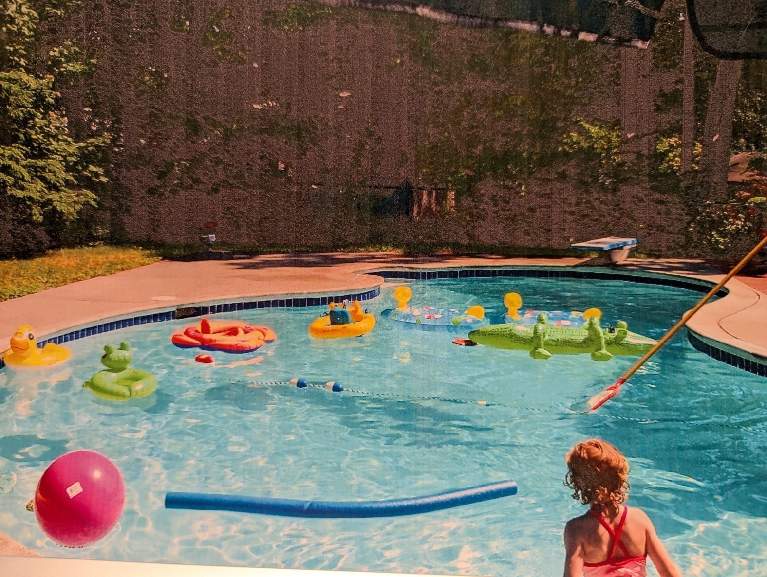 81 Davenport Terrace, Taunton, MA 02780 - Image 12