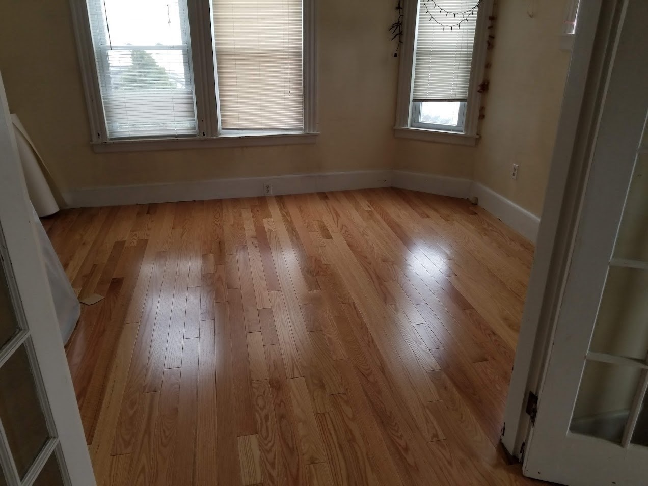 8 Elsmere Ave, Methuen, MA 01844 - Image 6