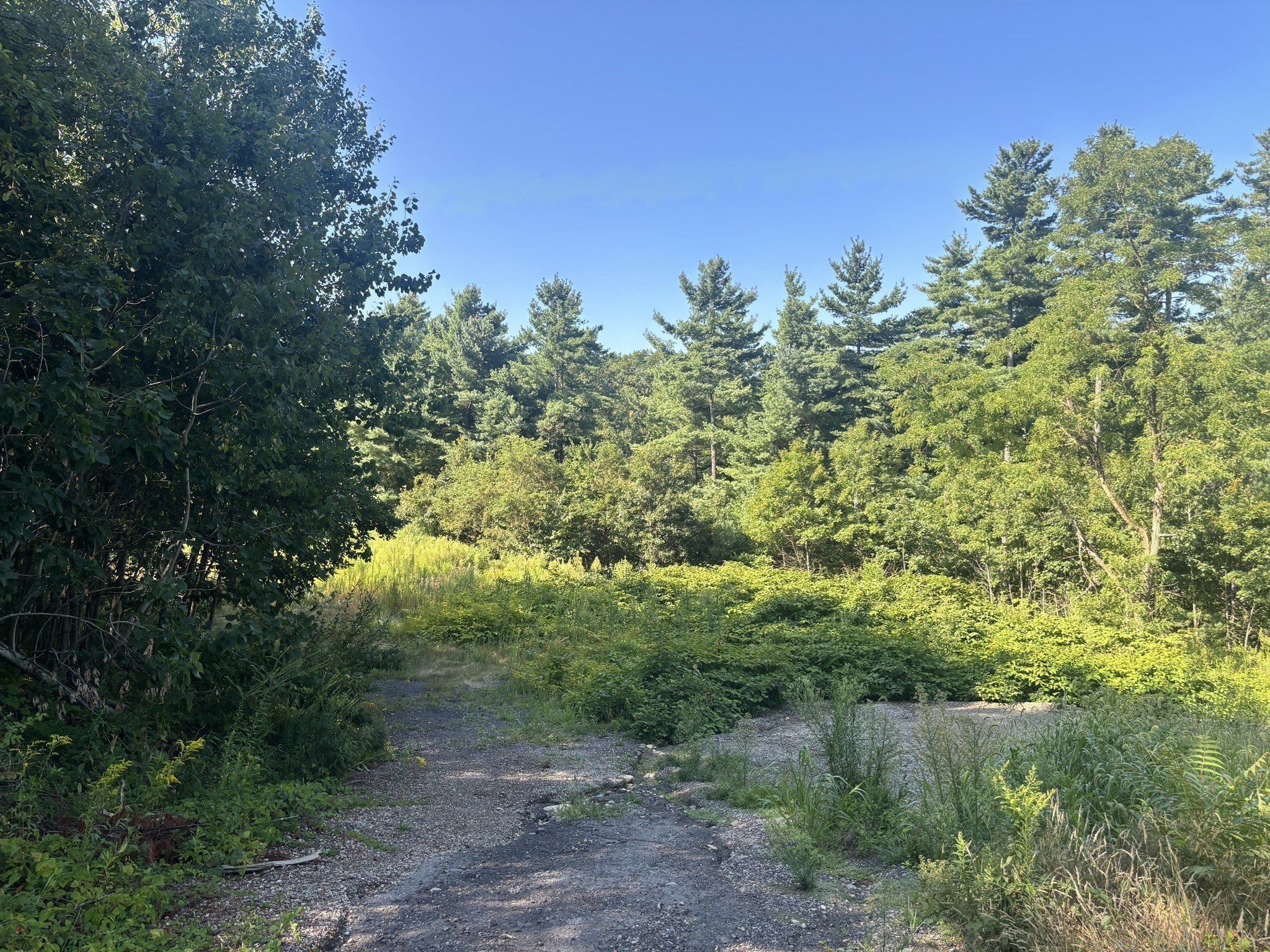 132 Everett Street, Middleboro, MA 02346 - Image 3