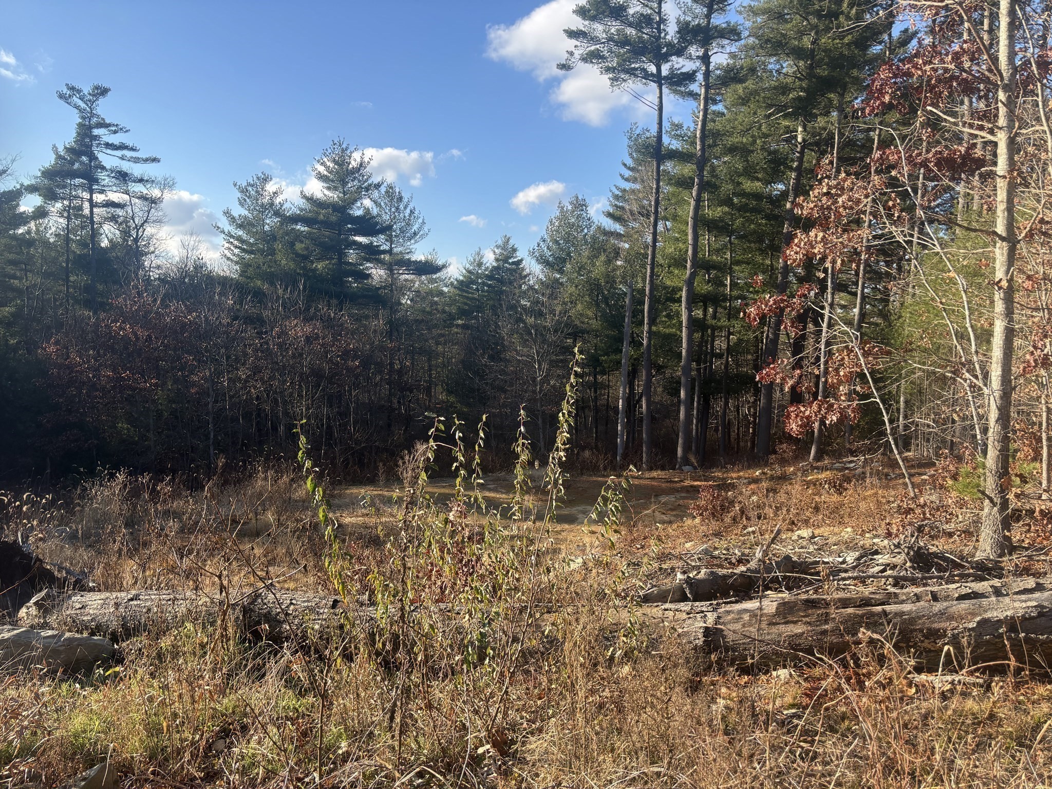 132 Everett Street, Middleboro, MA 02346 - Image 5