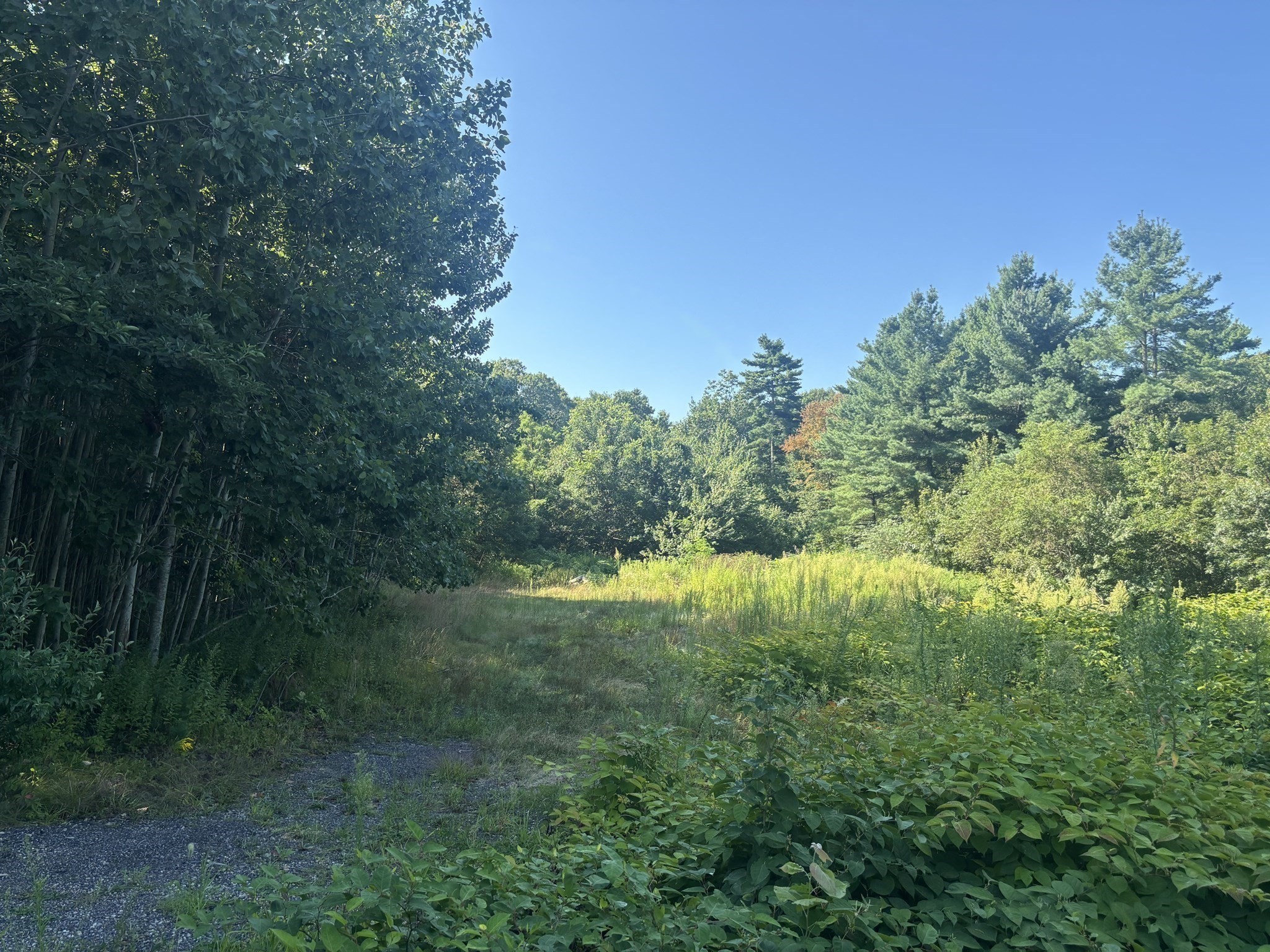 132 Everett Street, Middleboro, MA 02346 - Image 6