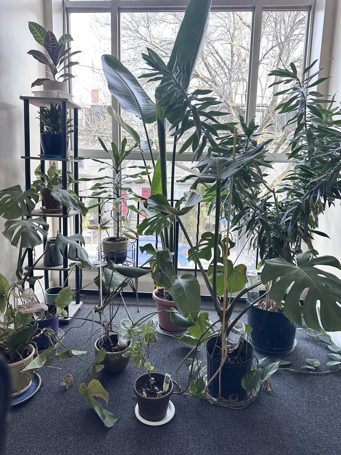 11 Cogswell Avenue Unit 13, Cambridge, MA 02140 - Image 12