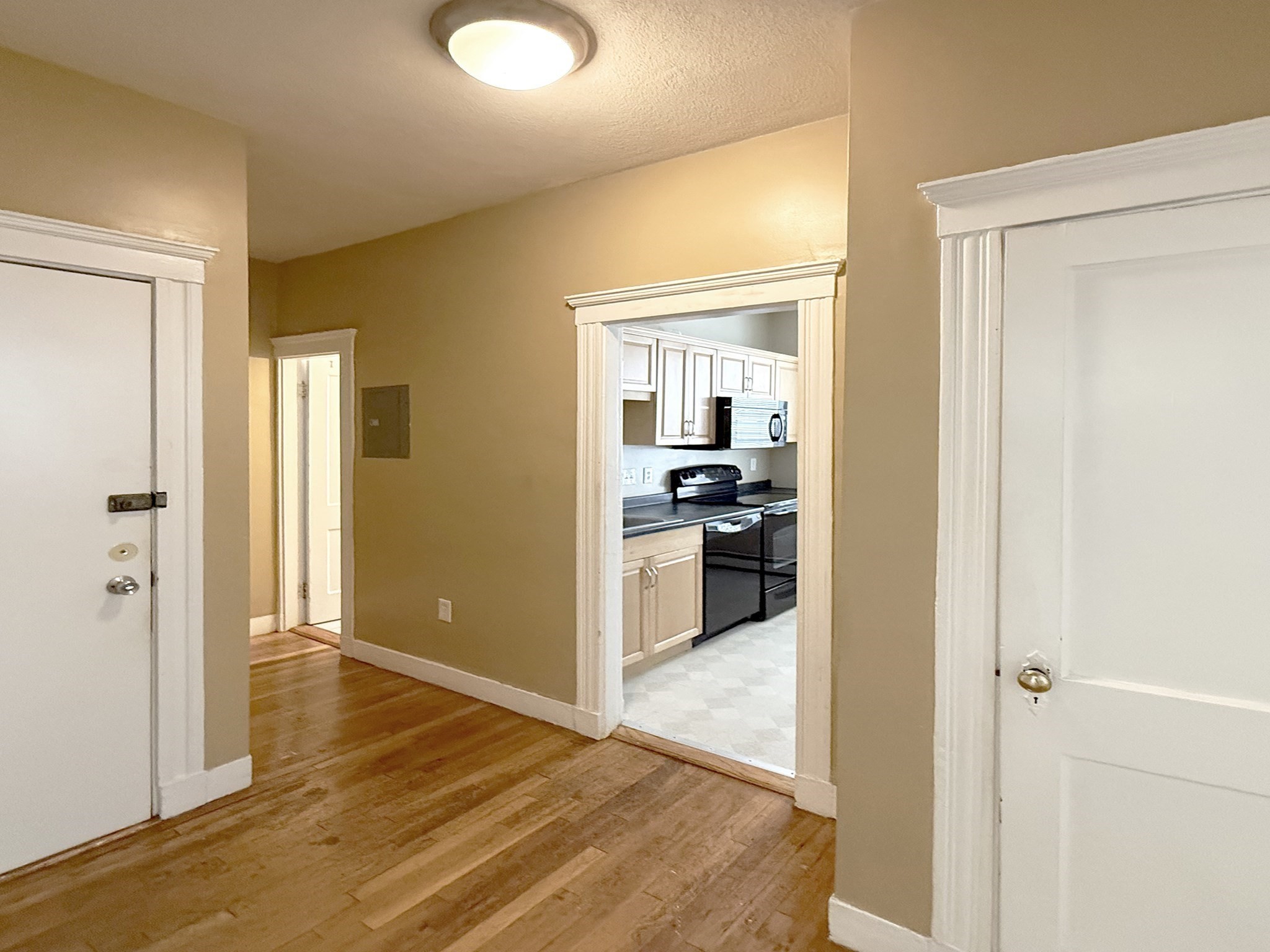 38 Ransom Rd Unit -3-, Brighton, Boston, MA 02135 - Image 2