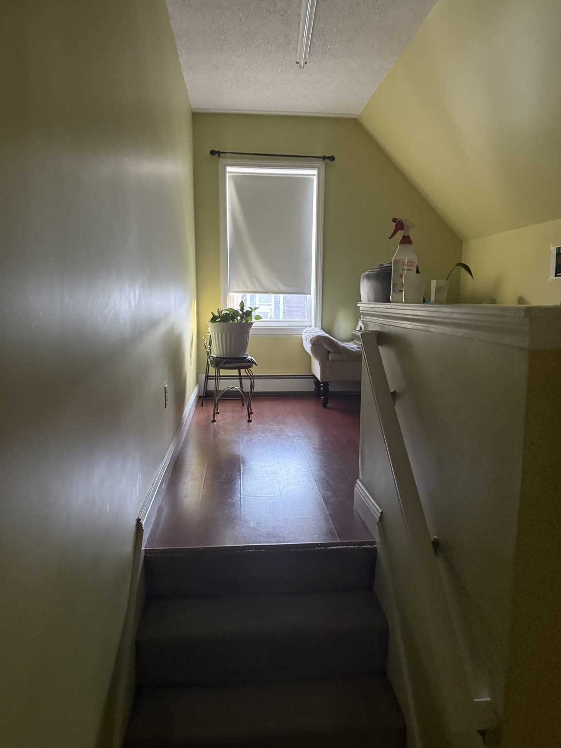 15 Marden Ave, Dorchester, Boston, MA 02124 - Image 16