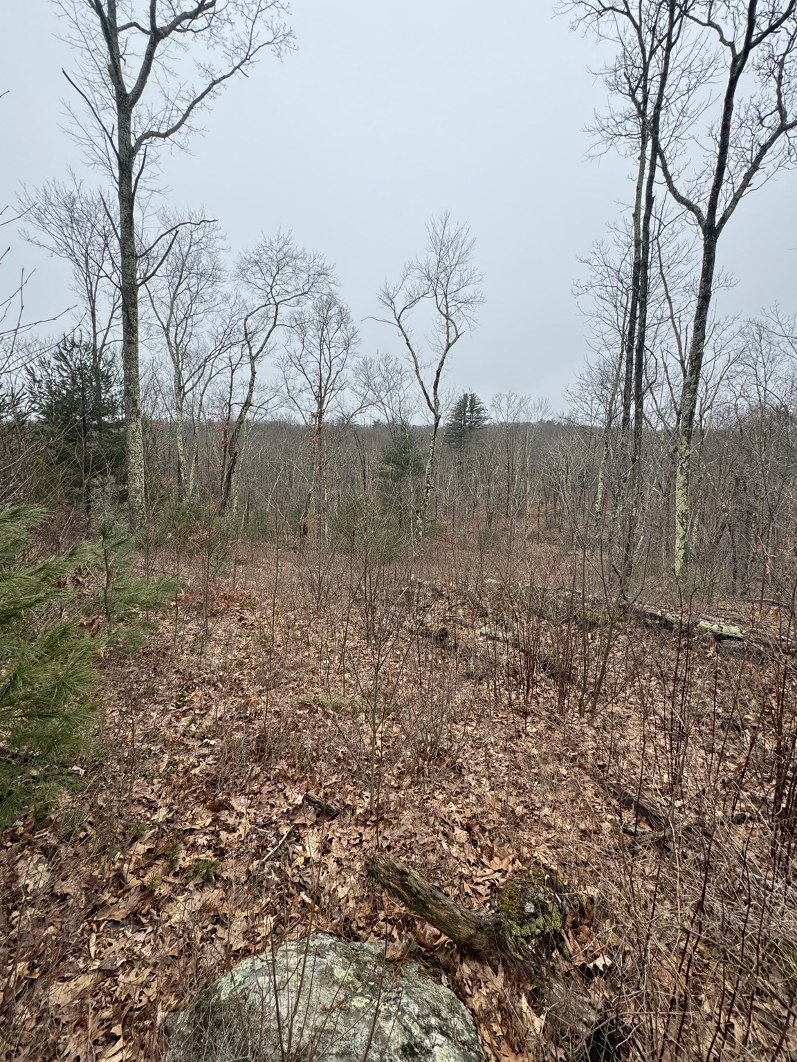 138 Ragged Hill Rd, West Brookfield, MA 01585 - Image 11