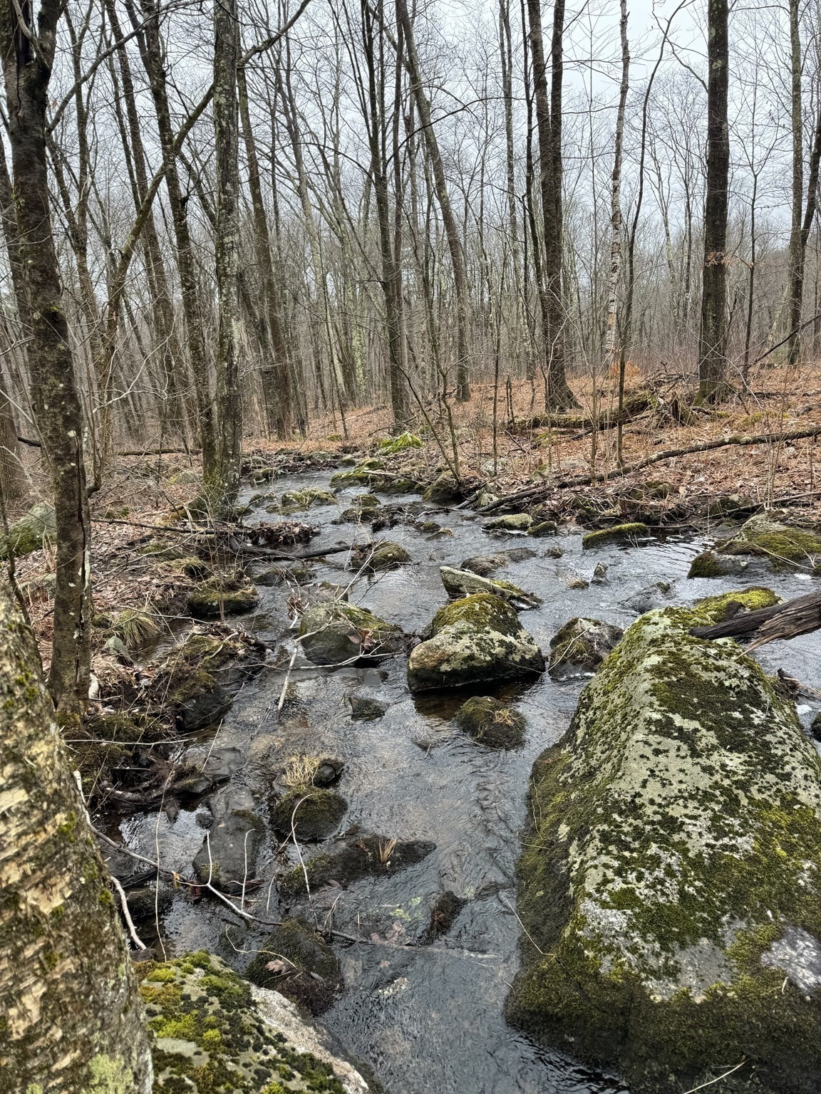 138 Ragged Hill Rd, West Brookfield, MA 01585 - Image 3