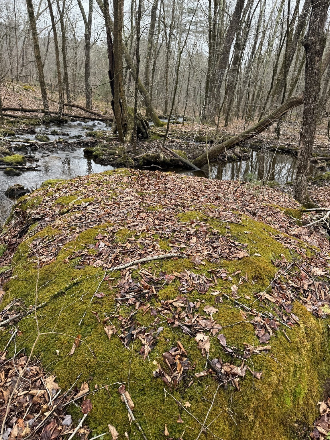 138 Ragged Hill Rd, West Brookfield, MA 01585 - Image 4