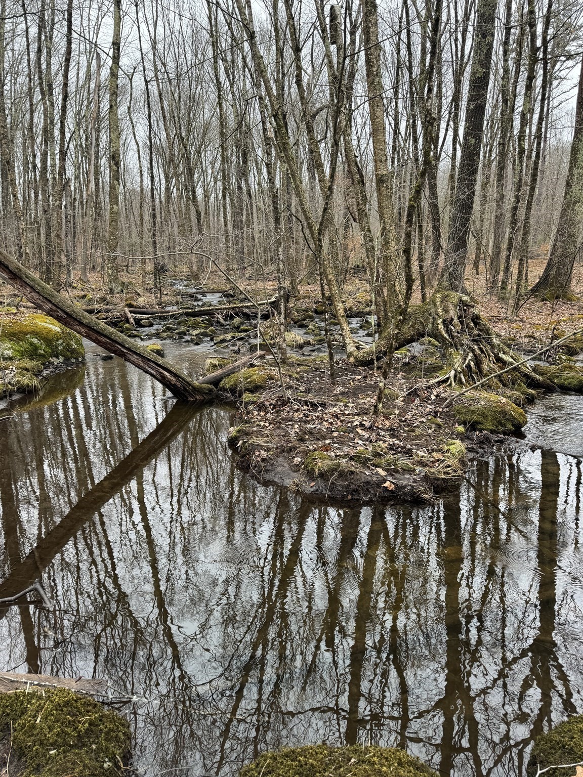 138 Ragged Hill Rd, West Brookfield, MA 01585 - Image 5