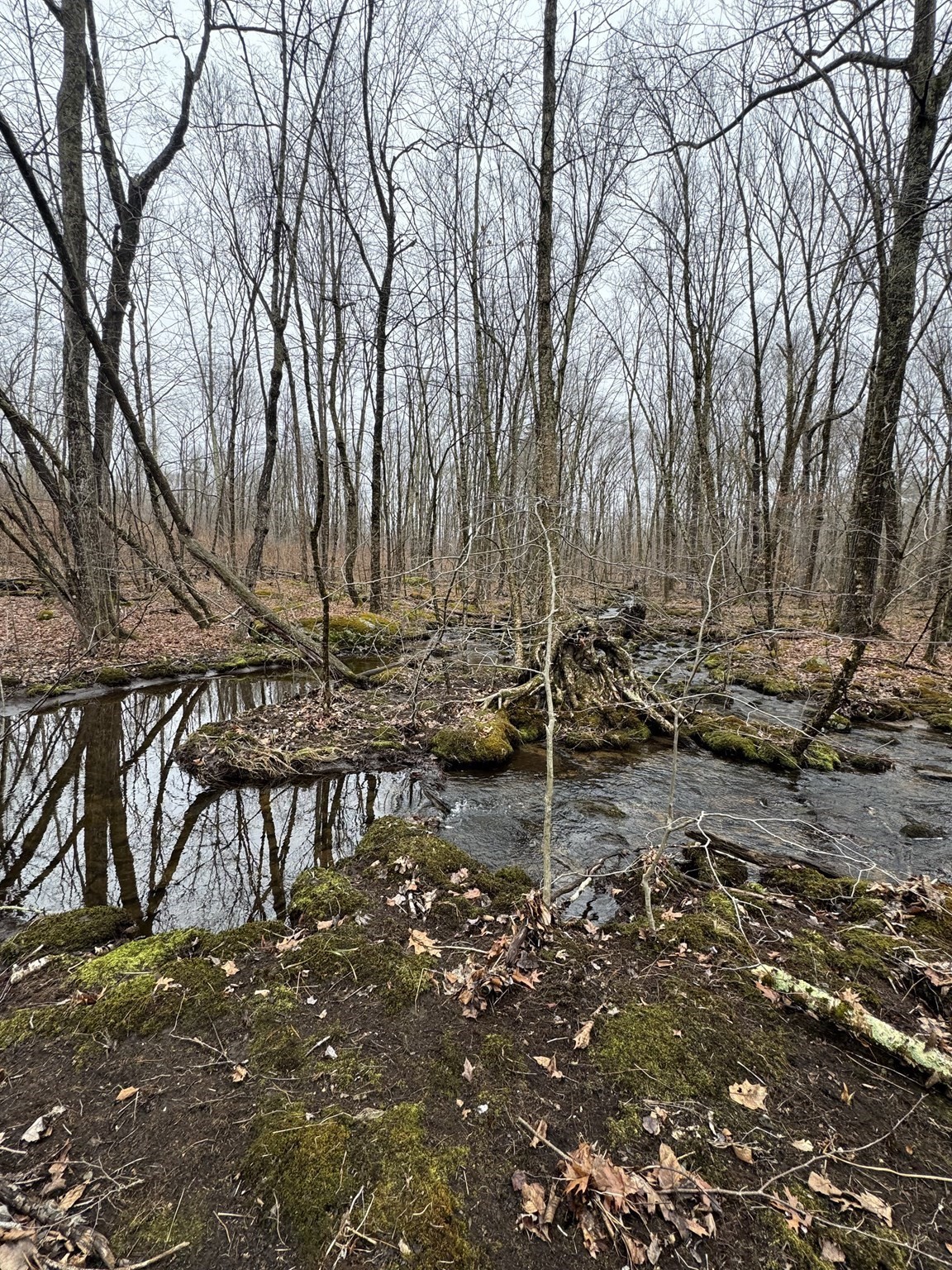 138 Ragged Hill Rd, West Brookfield, MA 01585 - Image 6