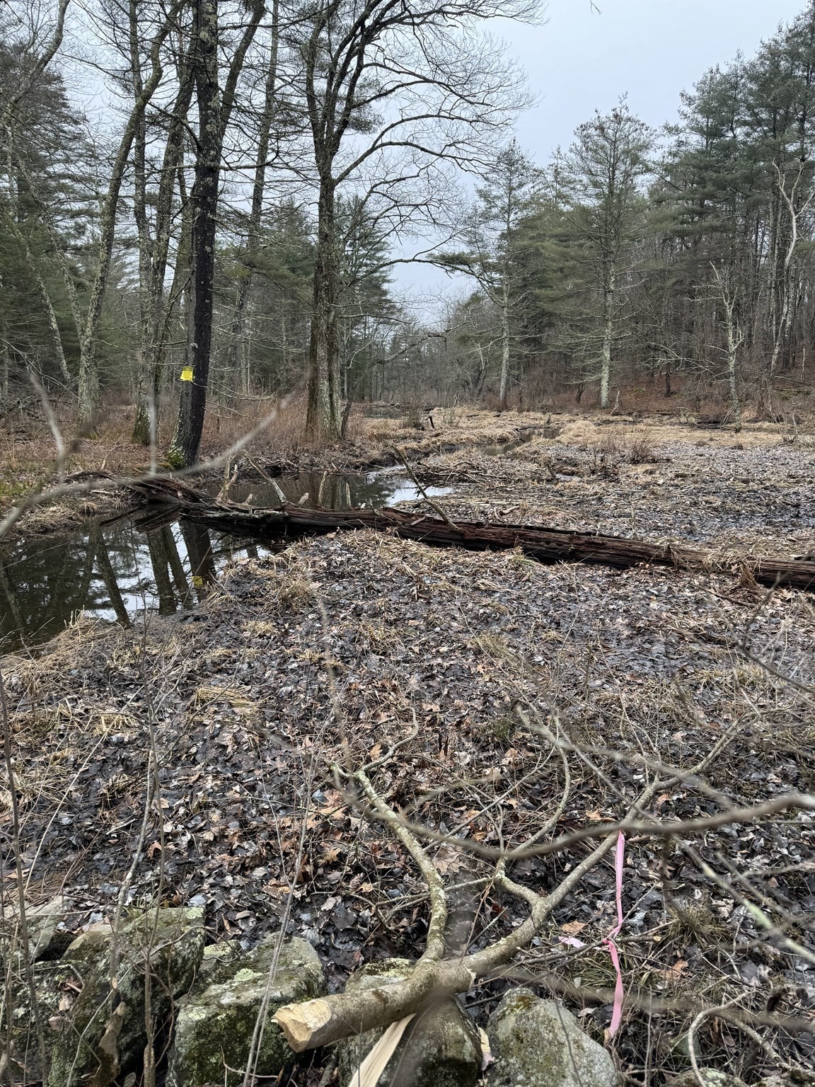 138 Ragged Hill Rd, West Brookfield, MA 01585 - Image 8