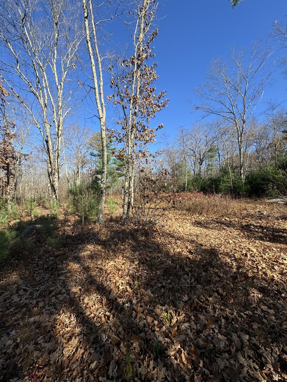 138 Ragged Hill Rd, West Brookfield, MA 01585 - Image 9