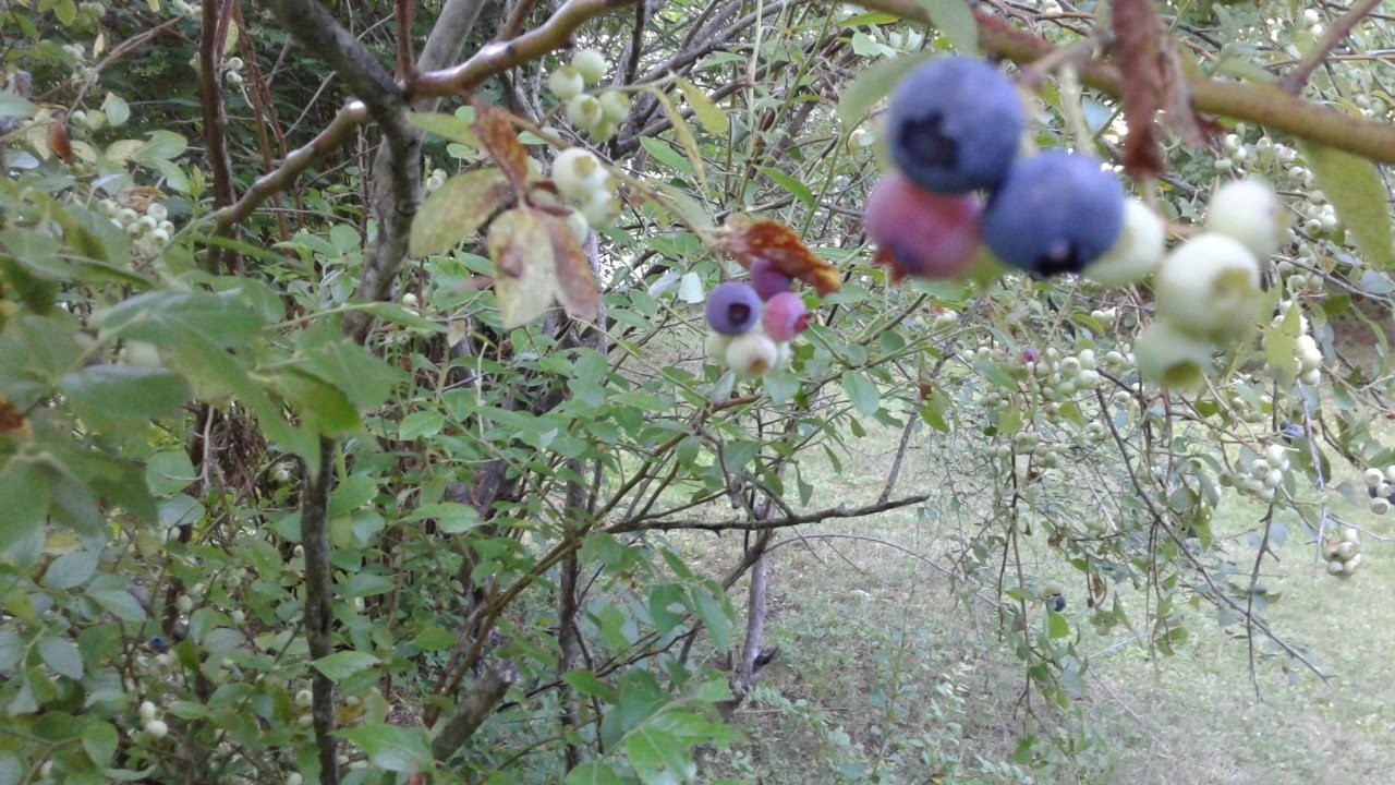 54 High St, Monson, MA 01057 - Image 13