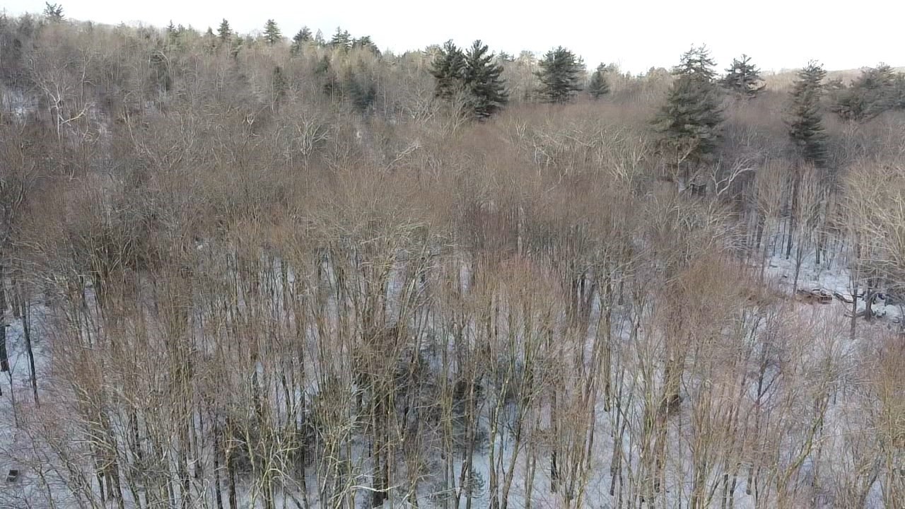 54 High St, Monson, MA 01057 - Image 7