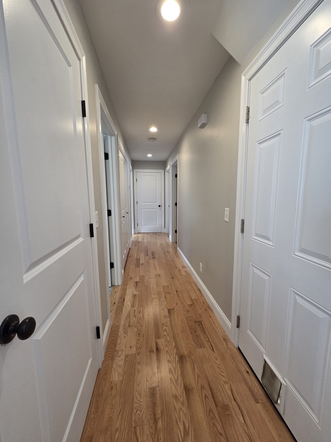 29 Lake Rd, Brookfield, MA 01506 - Image 11