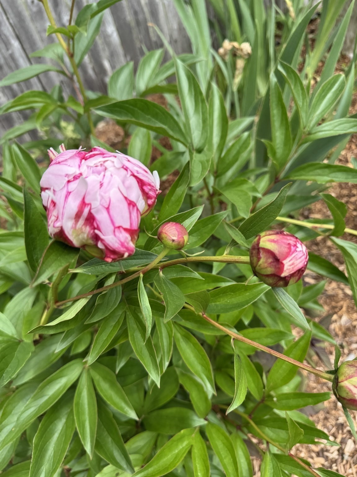 58 Oregon Ave, Somerset, MA 02726 - Image 24