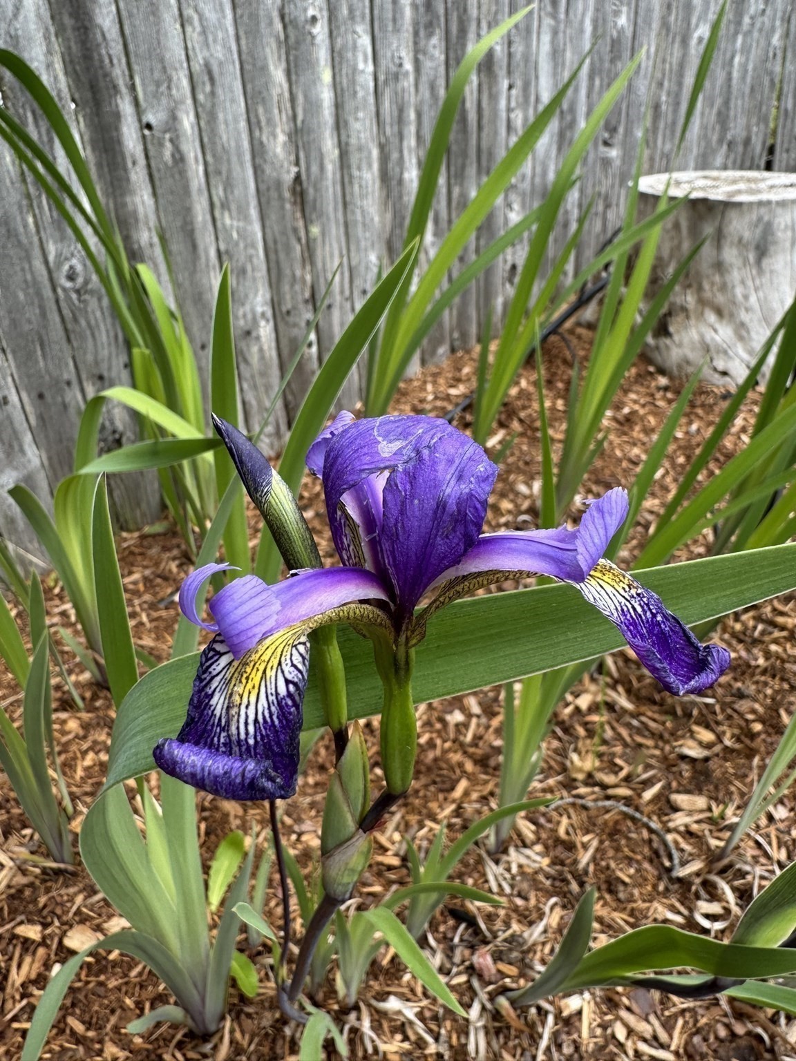 58 Oregon Ave, Somerset, MA 02726 - Image 25