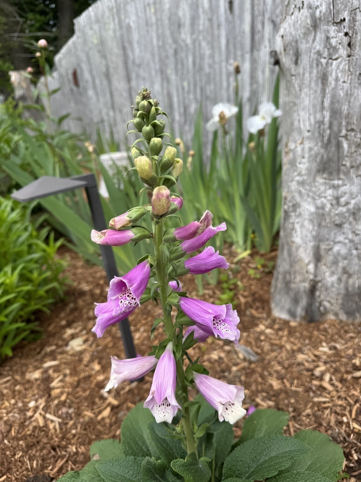 58 Oregon Ave, Somerset, MA 02726 - Image 27