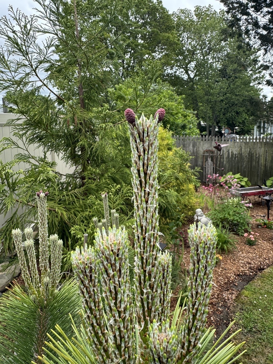 58 Oregon Ave, Somerset, MA 02726 - Image 28