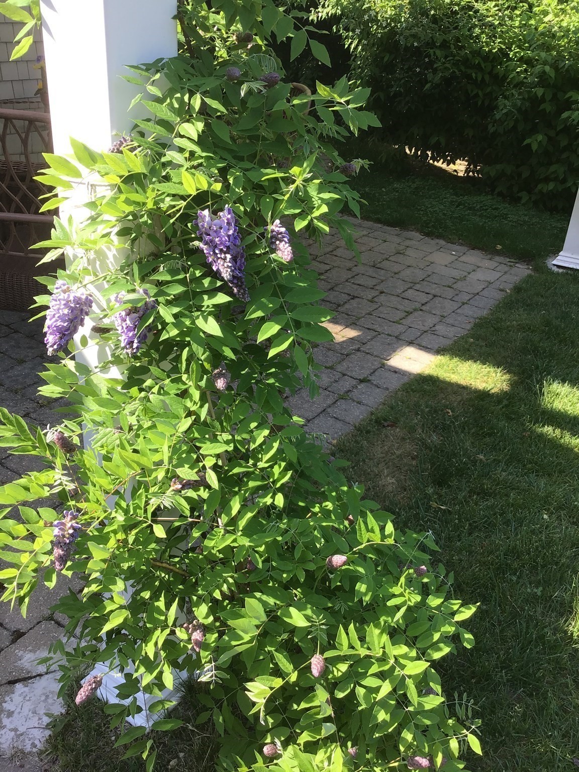 100 White Horse Rd, Plymouth, MA 02360 - Image 5