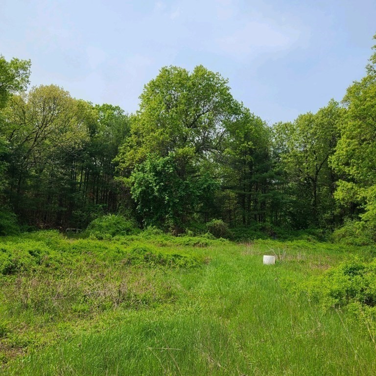 301 Tinkham Road, Springfield, MA 01129 - Image 4