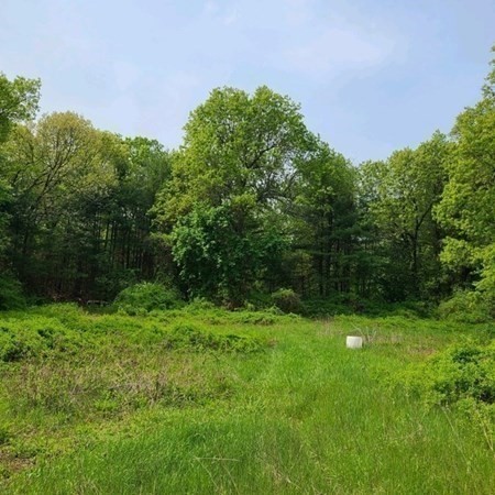 301 Tinkham, Springfield, MA 01129