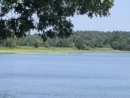 191 Main Street Unit 103, Wareham, MA 02571 - Image 8