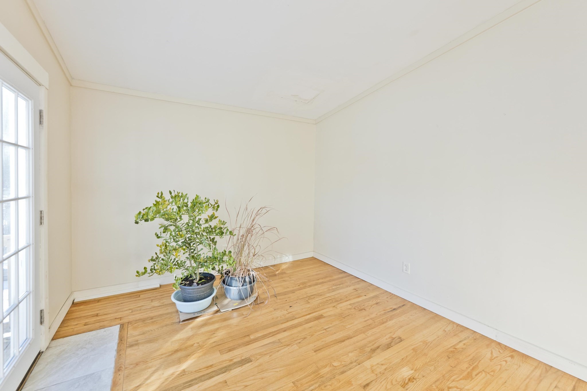 137 Old Amherst Rd, Belchertown, MA 01007 - Image 21