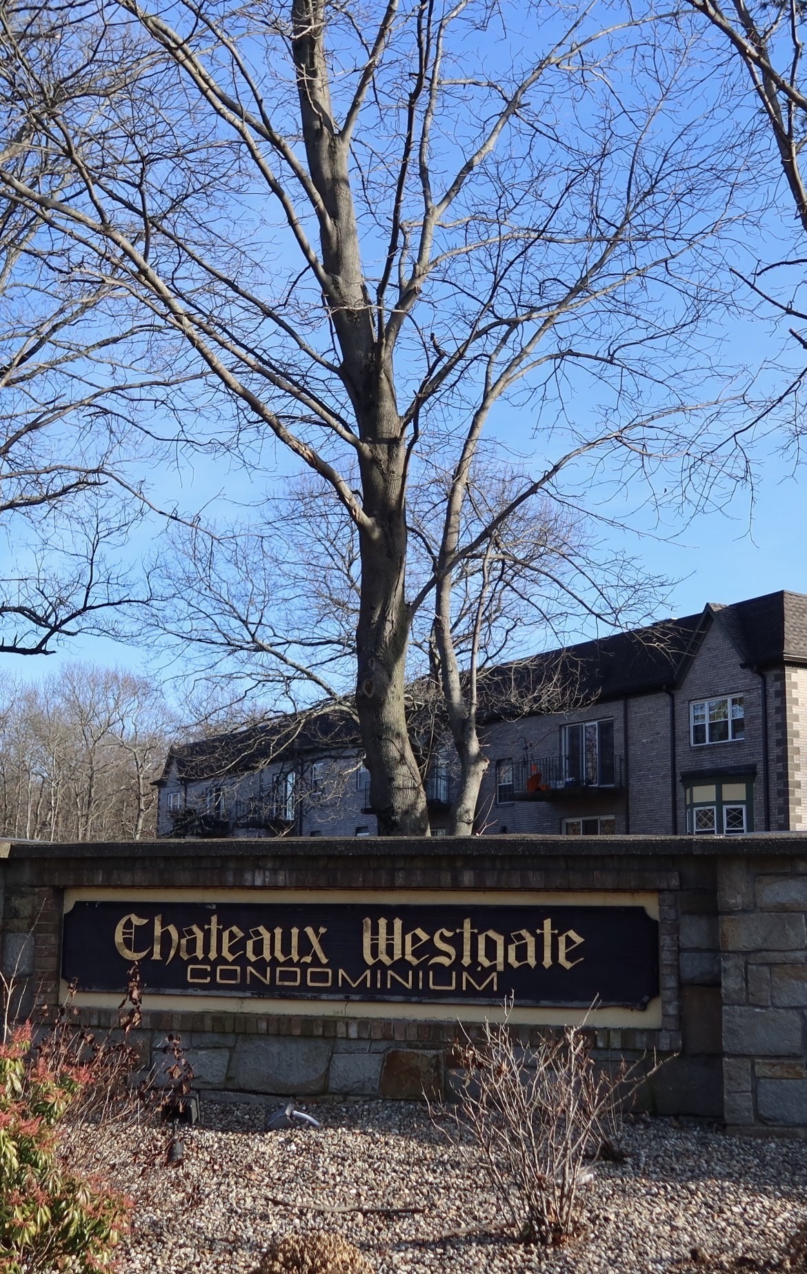 502 Oak St Unit 12, Brockton, MA 02301