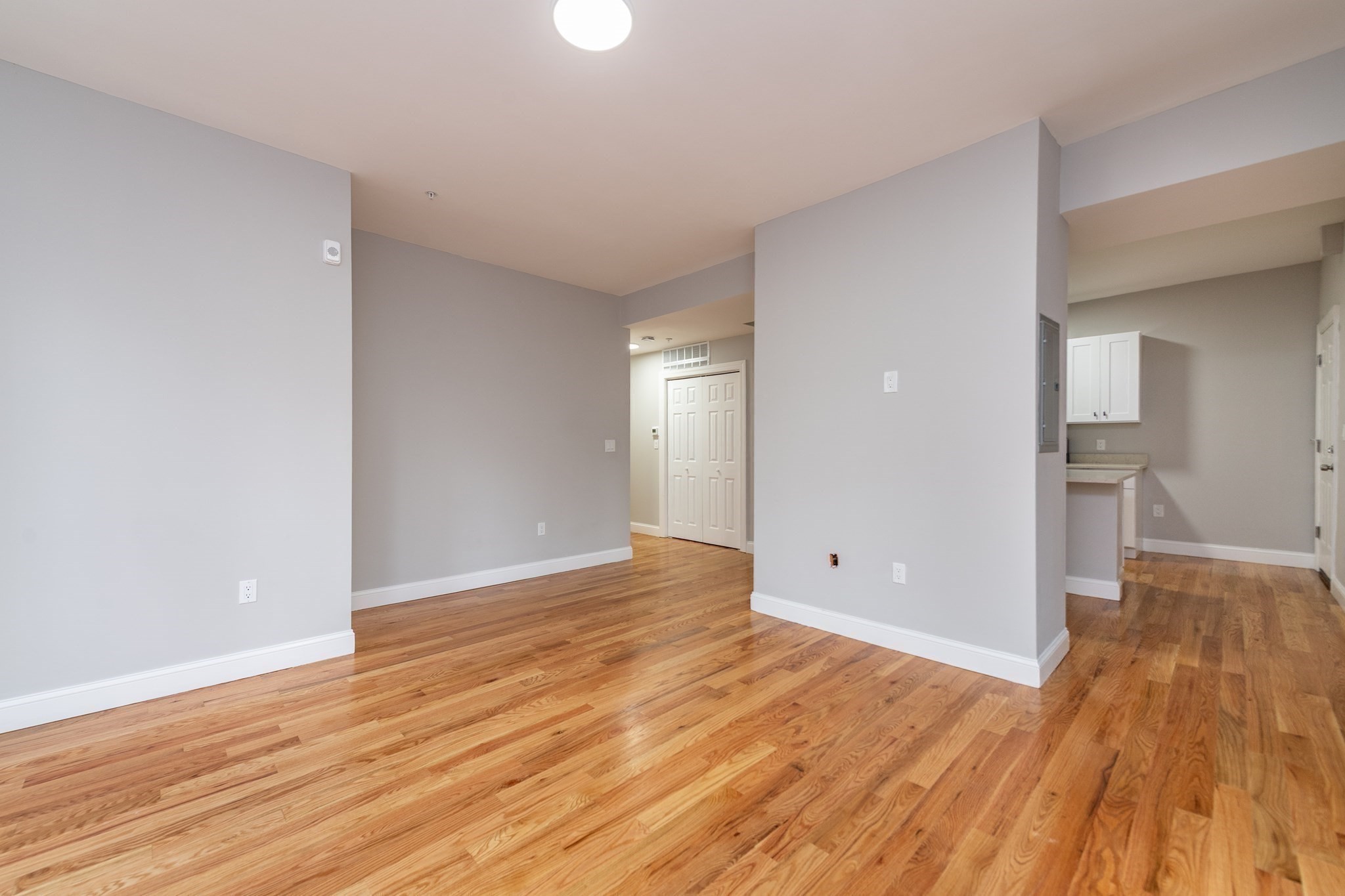 70 Rockland Street, Roxbury, Boston, MA 02119 - Image 16