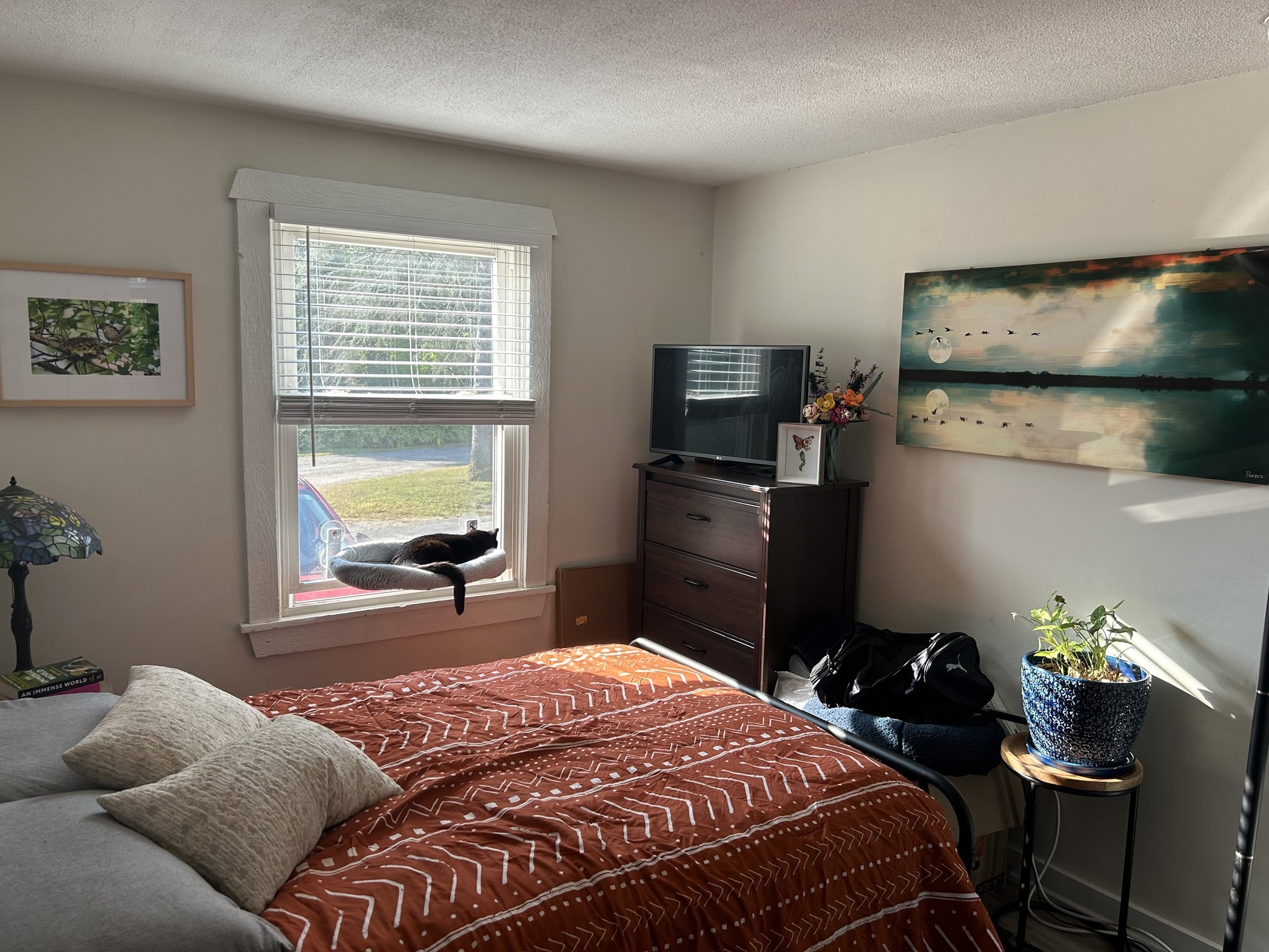 310 Belchertown Rd, Amherst, MA 01002 - Image 33