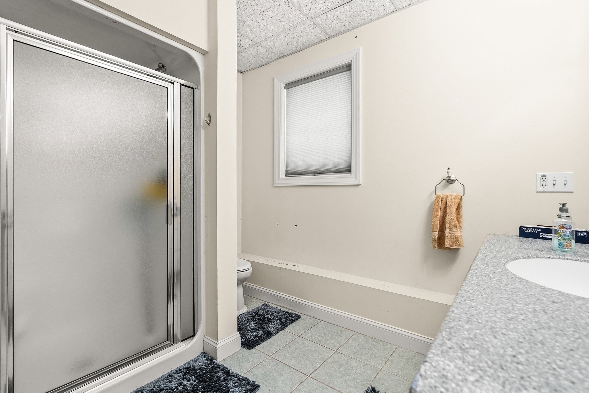 46 Mirimichi St, Plainville, MA 02762 - Image 31