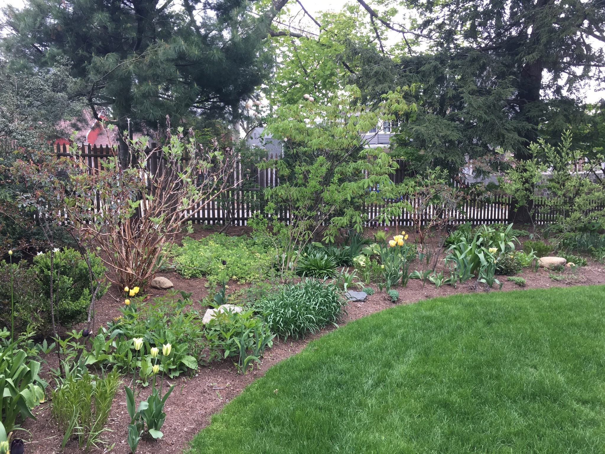 5 Lincoln St, Arlington, MA 02476 - Image 36