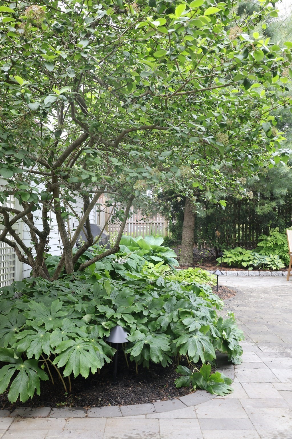 5 Lincoln St, Arlington, MA 02476 - Image 38