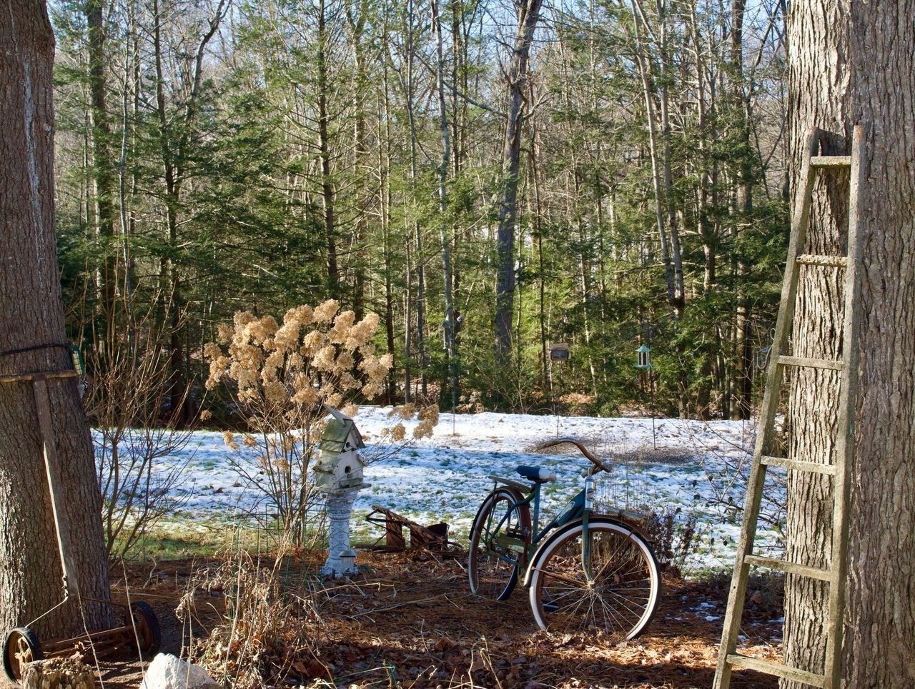 6 Fulling Mill Drive, Charlton, MA 01507 - Image 40