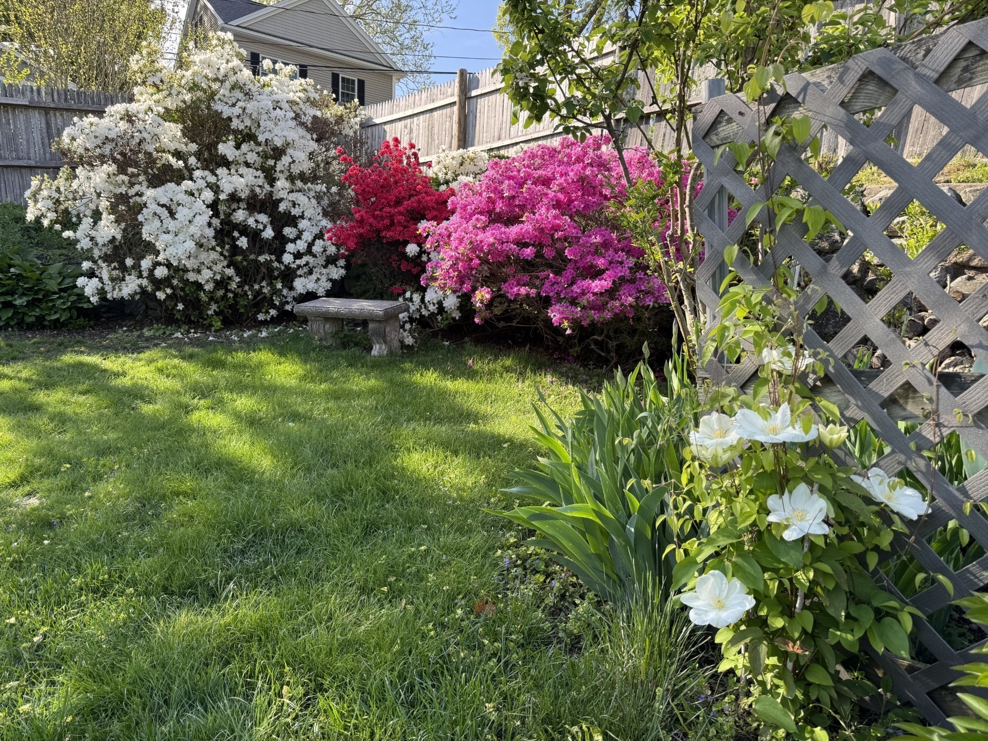 31 Walton St, Waltham, MA 02451 - Image 40