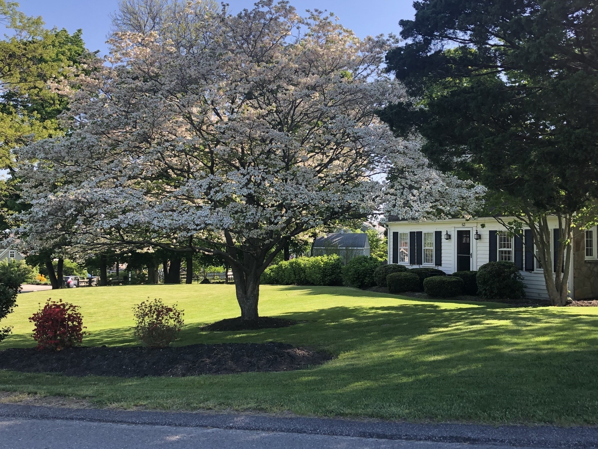 63 Bancroft Rd, Cohasset, MA 02025 - Image 37