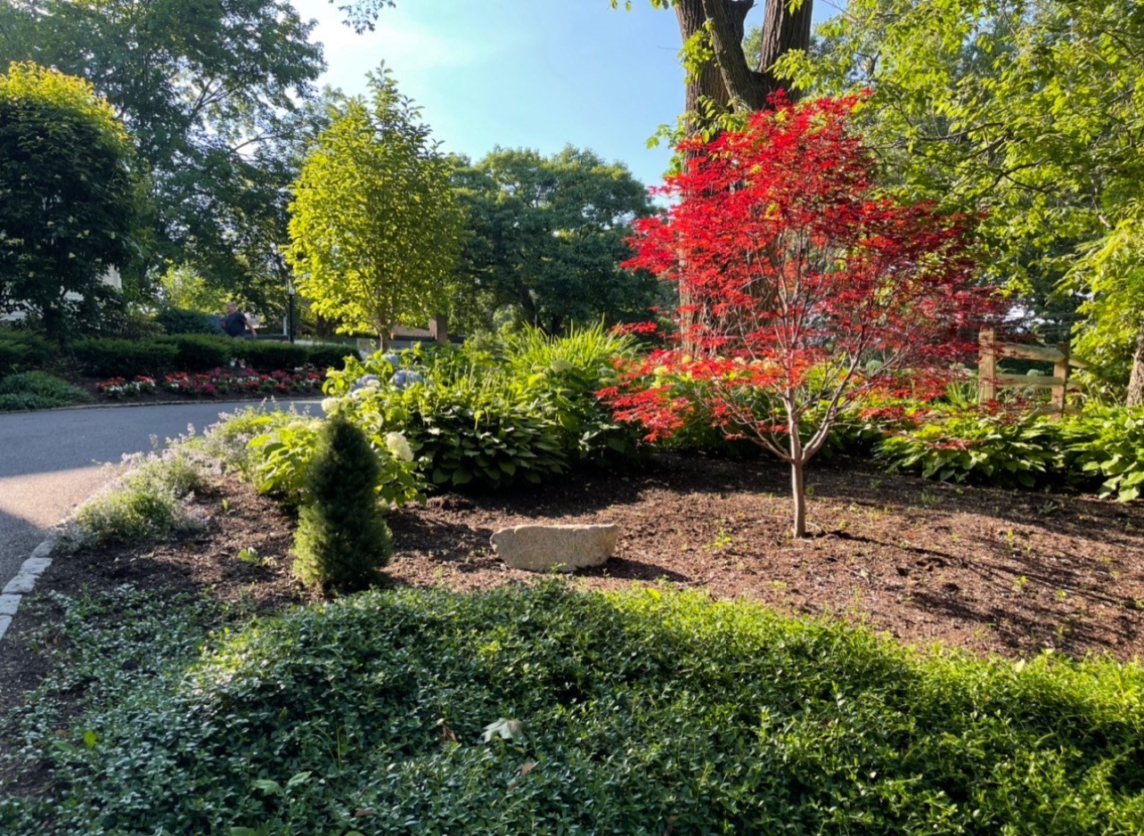 28 Tufts Rd, Lexington, MA 02421 - Image 34