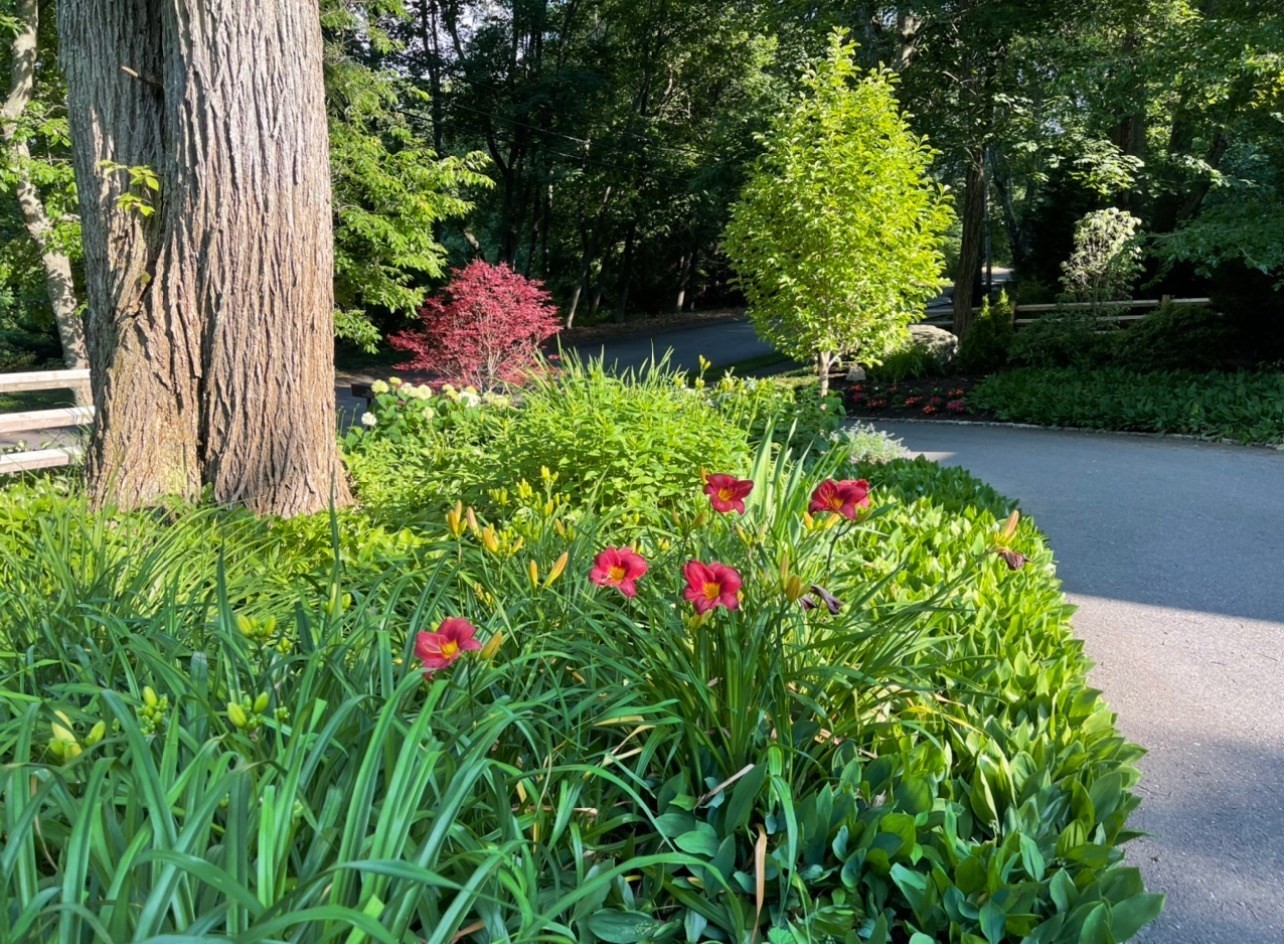 28 Tufts Rd, Lexington, MA 02421 - Image 35