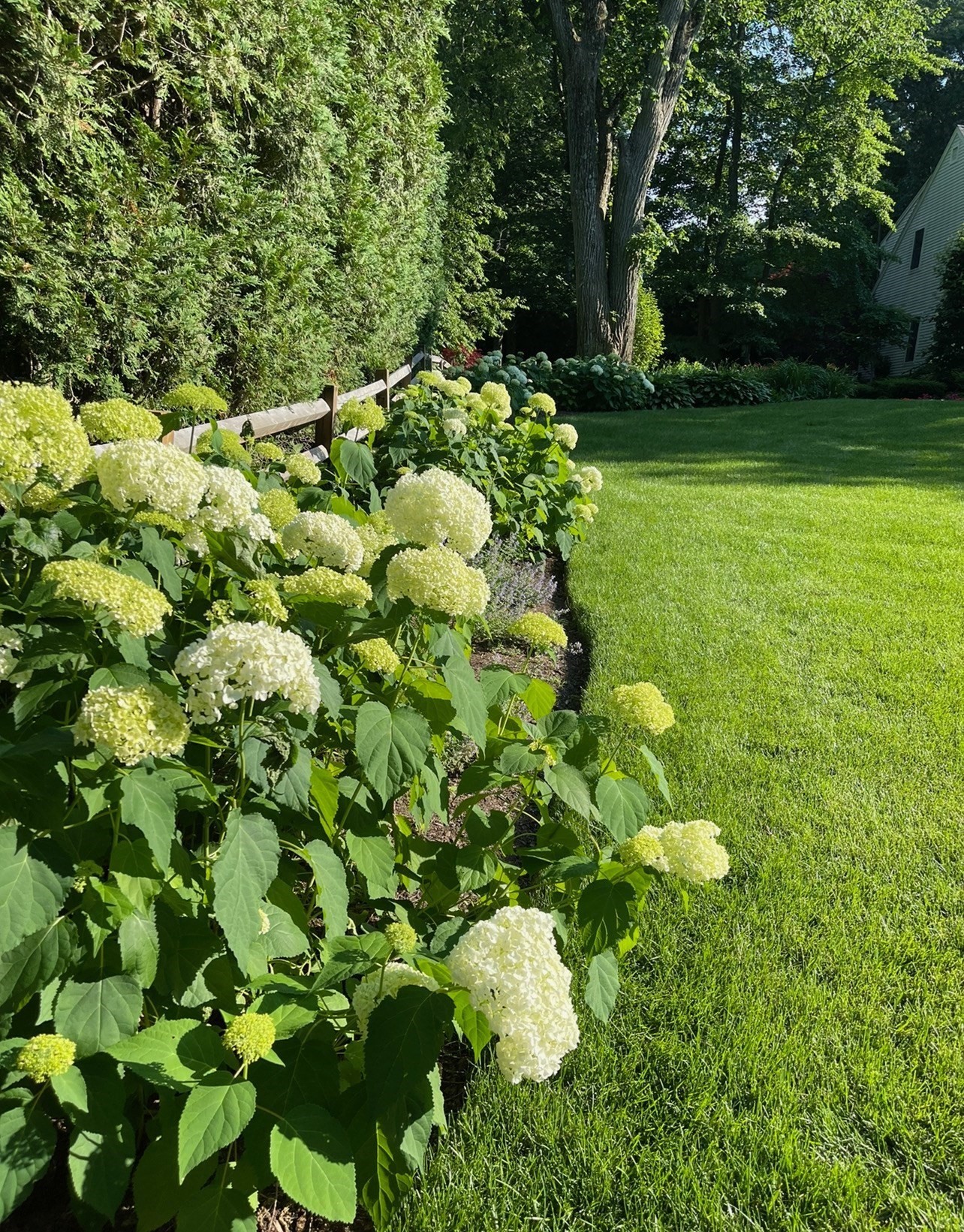 28 Tufts Rd, Lexington, MA 02421 - Image 36