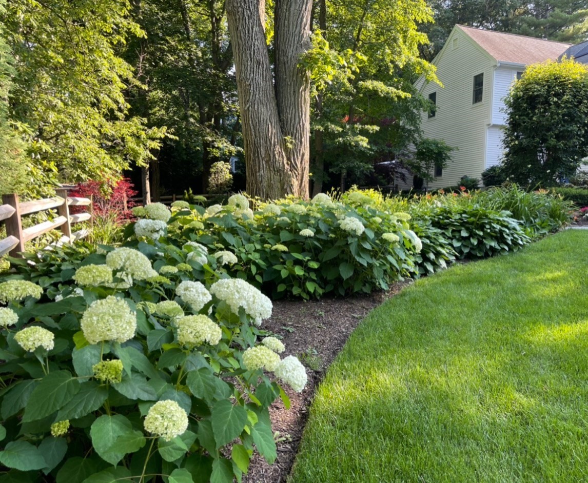 28 Tufts Rd, Lexington, MA 02421 - Image 37