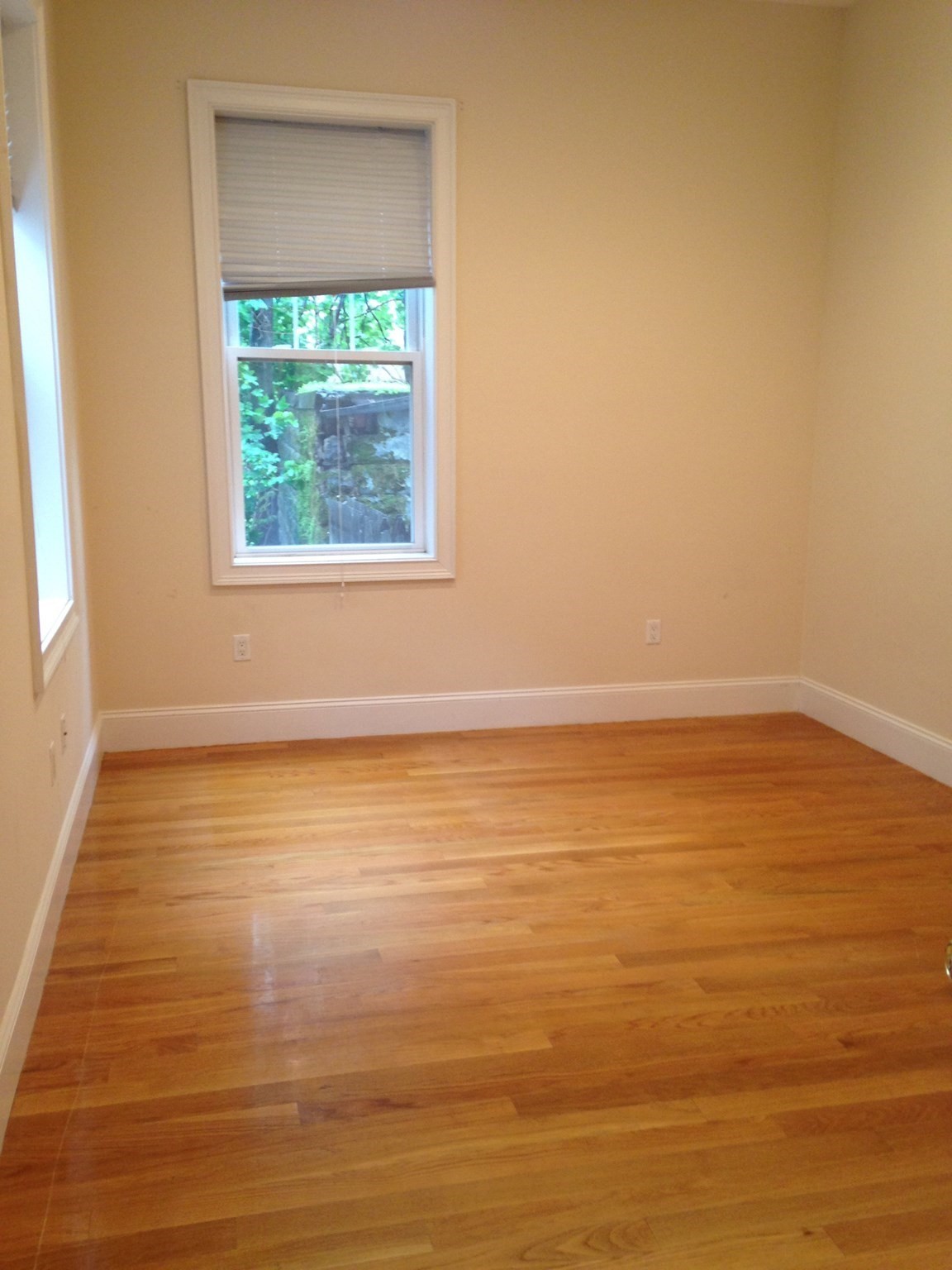 30 Millmont St Unit 2, Fort Hill, Boston, MA 02119 - Image 9