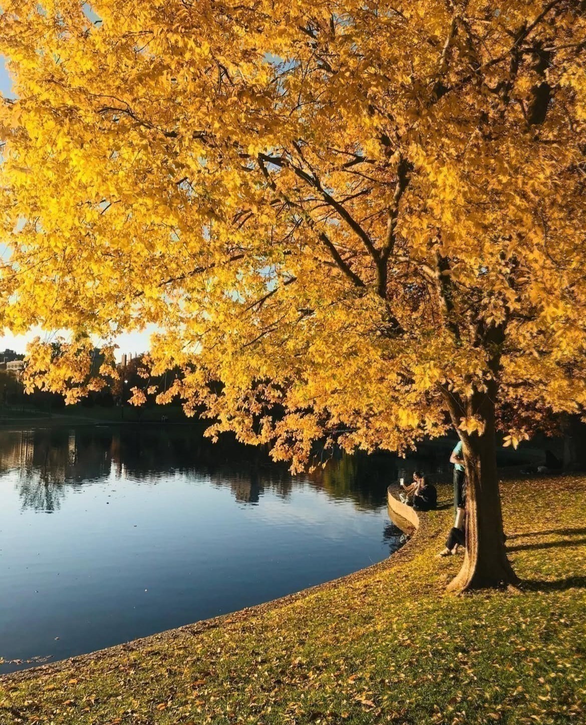 15 River Unit 507, Beacon Hill, Boston, MA 02108 - Image 27