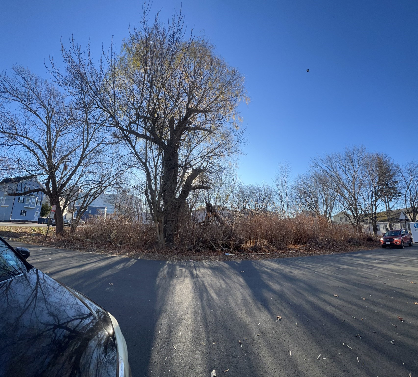 14 Beverly, Revere, MA 02151 - Image 6