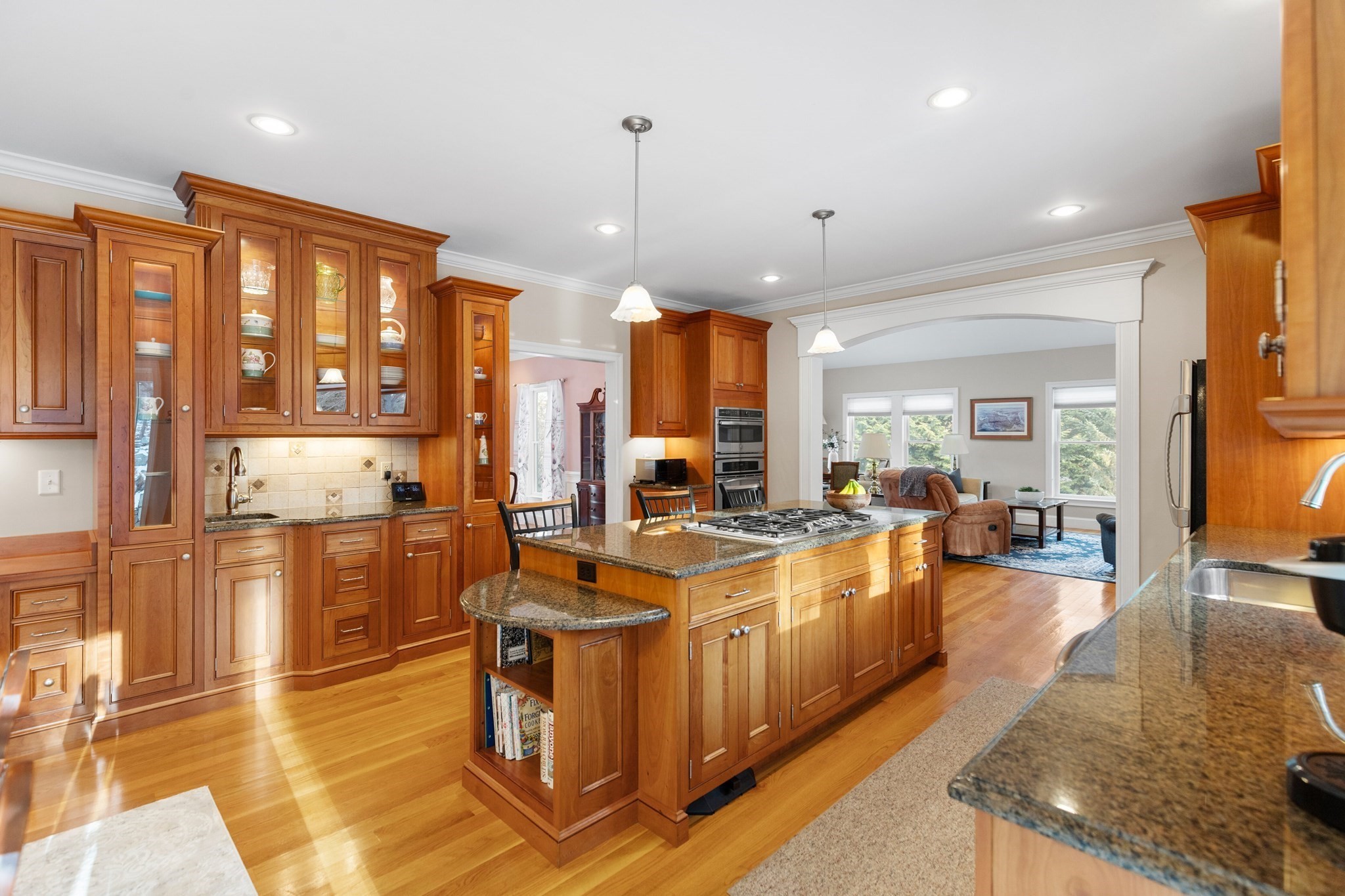 10 Luongo Farm Lane, Lexington, MA 02421 - Image 6