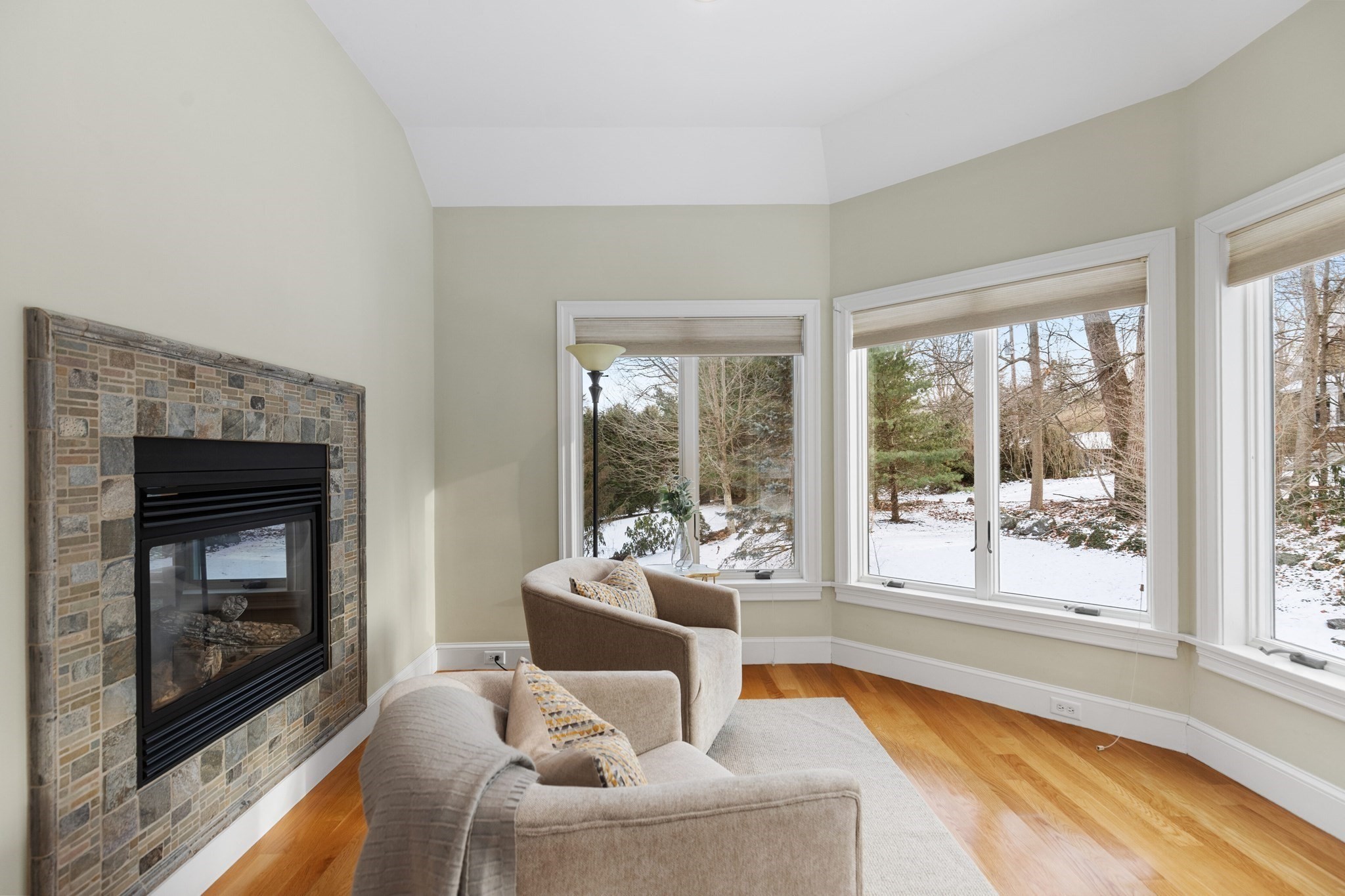 10 Luongo Farm Lane, Lexington, MA 02421 - Image 10