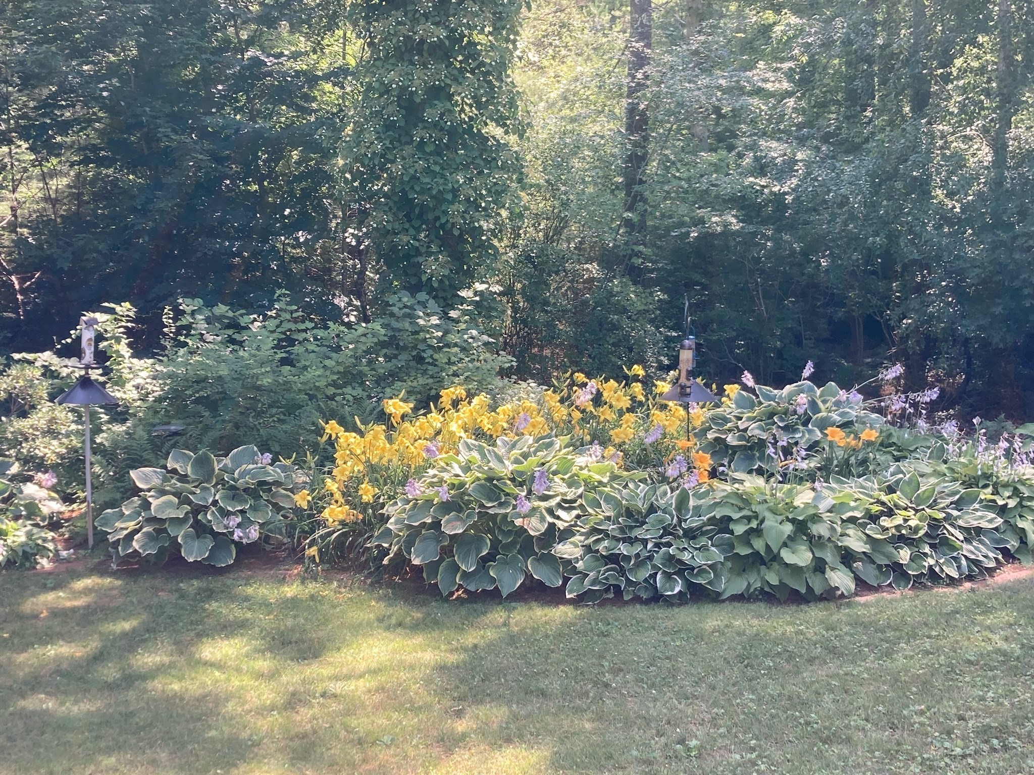 113 Farmersville Road, Sandwich, MA 02563 - Image 25