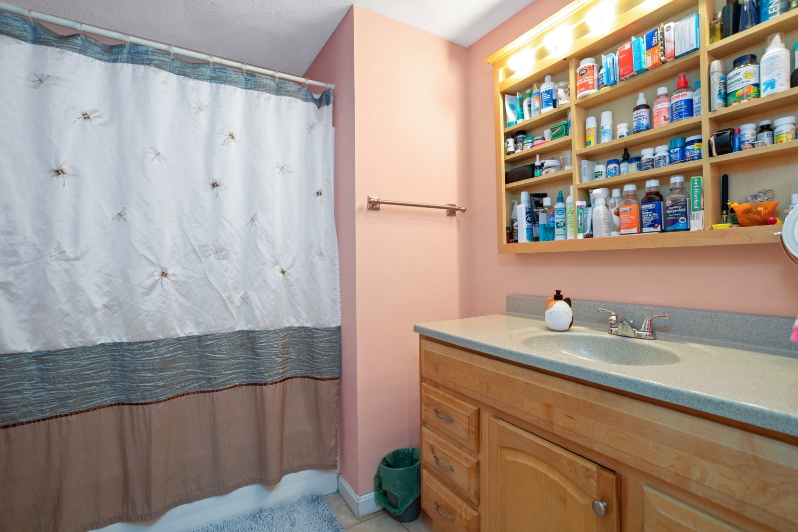 66 Springdale Ave, Saugus, MA 01906 - Image 20