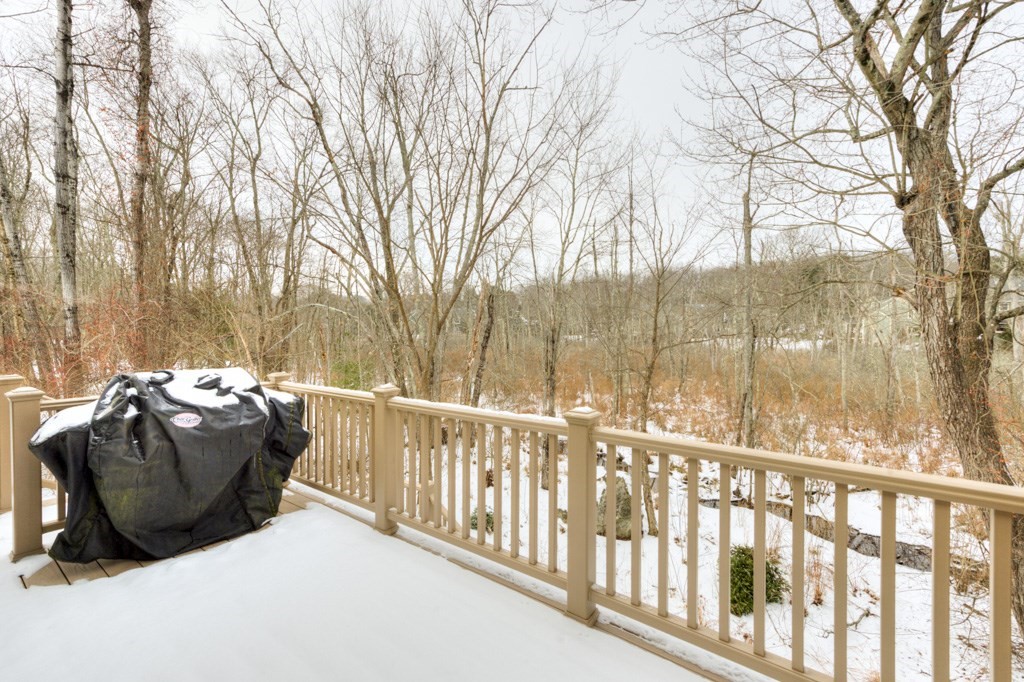 65 Brookdale Cir Unit 65, Shrewsbury, MA 01545 - Image 40